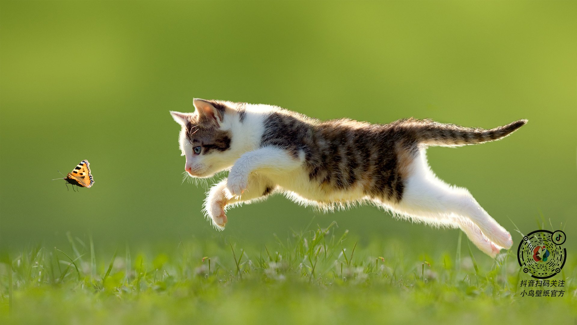 F1赛车的环保诉求和绿色未来,f1赛车设计