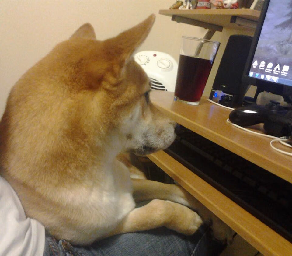 中国足球行业品牌建设再升级,提升行业整体影响力,中国足球产业发展现状