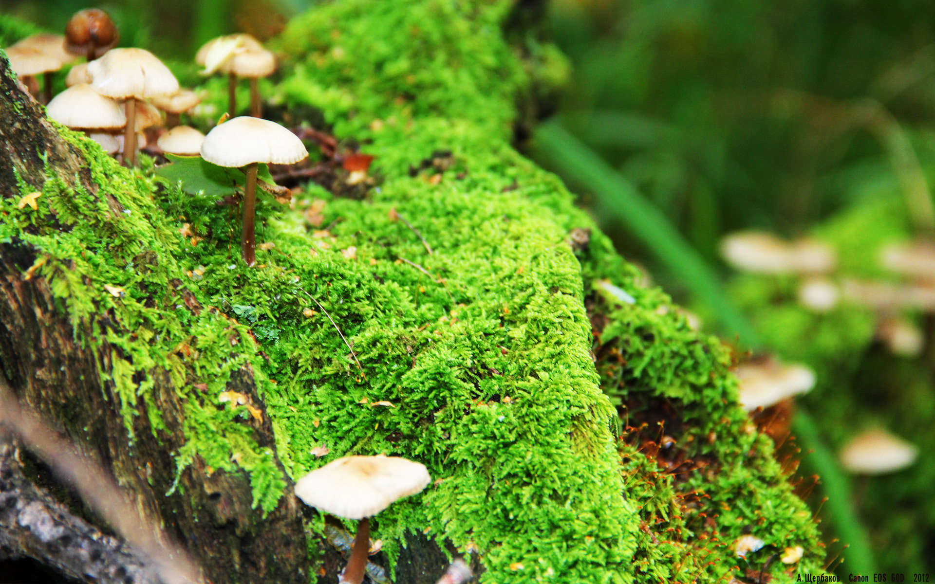 中国足球裁判力推公平竞赛新措施，足球裁判公平公正