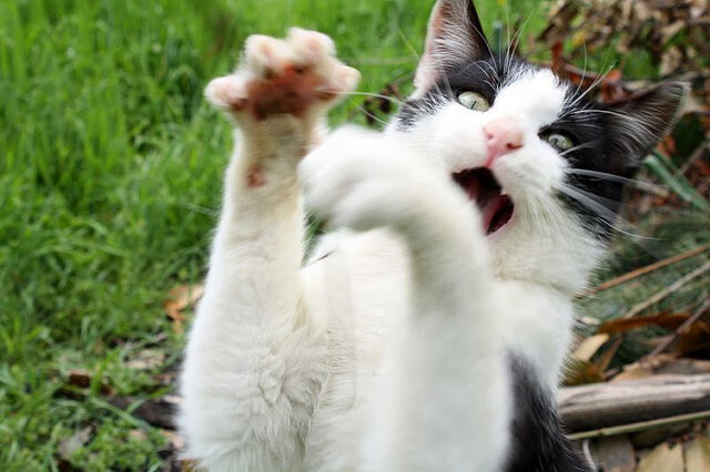 广东宏远季后赛战术调整见成效，广东宏远连续25年打进季后赛