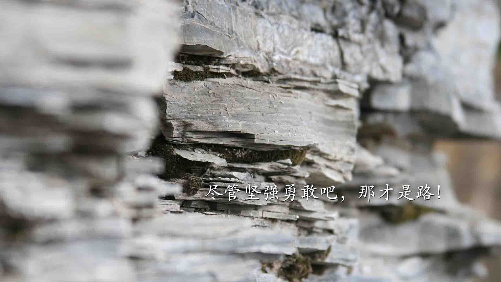 火箭主场稳住节奏拿下胜利，火箭主场场地