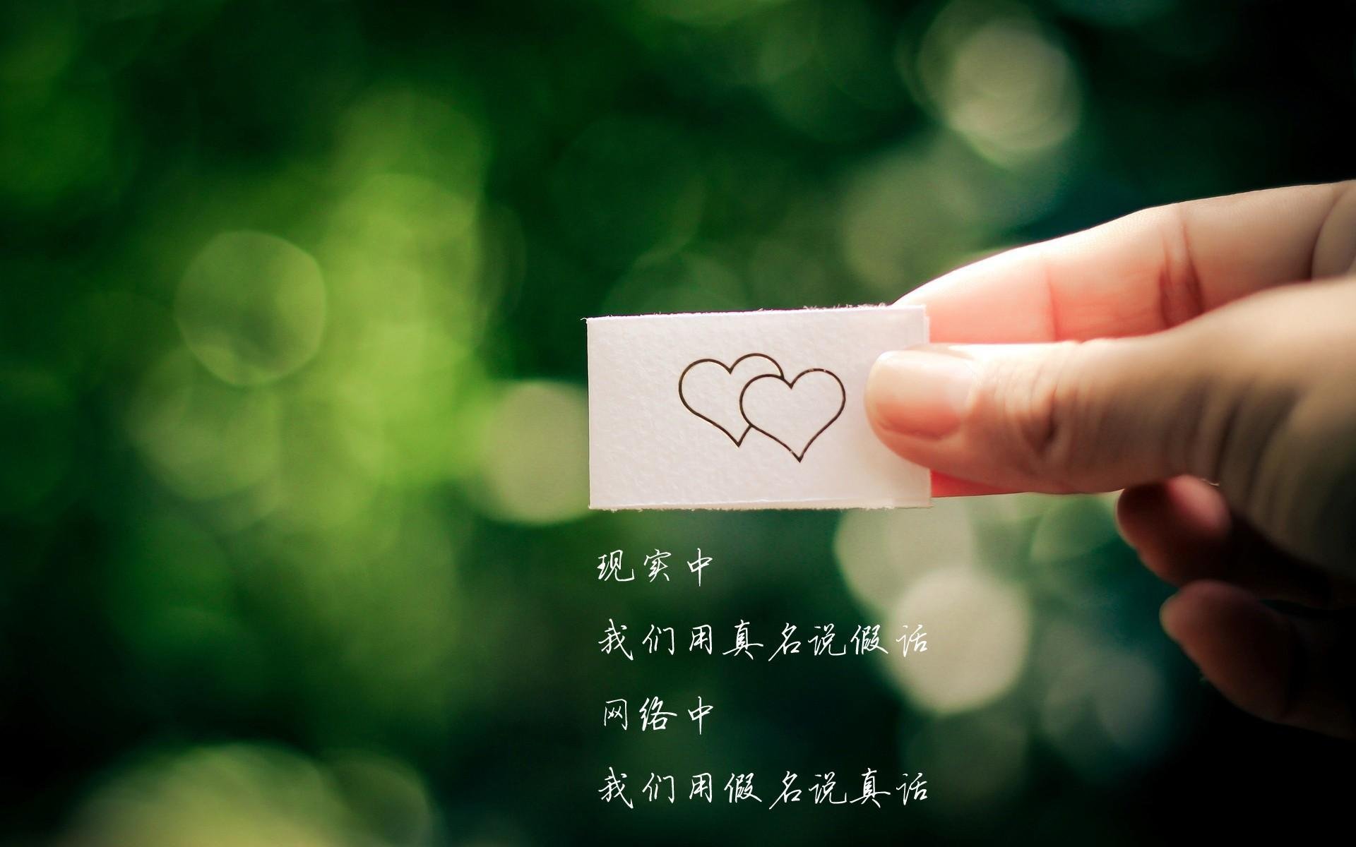 辽宁队在比赛中展现出火热状态,取得令人瞩目胜利,辽宁队出场视频