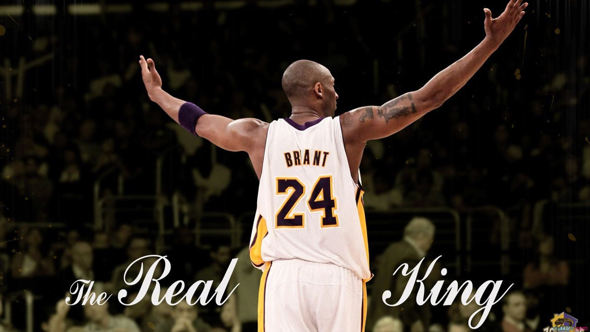 世界少年足球锦标赛:未来之星的舞台,第一届世界少年足球锦标赛