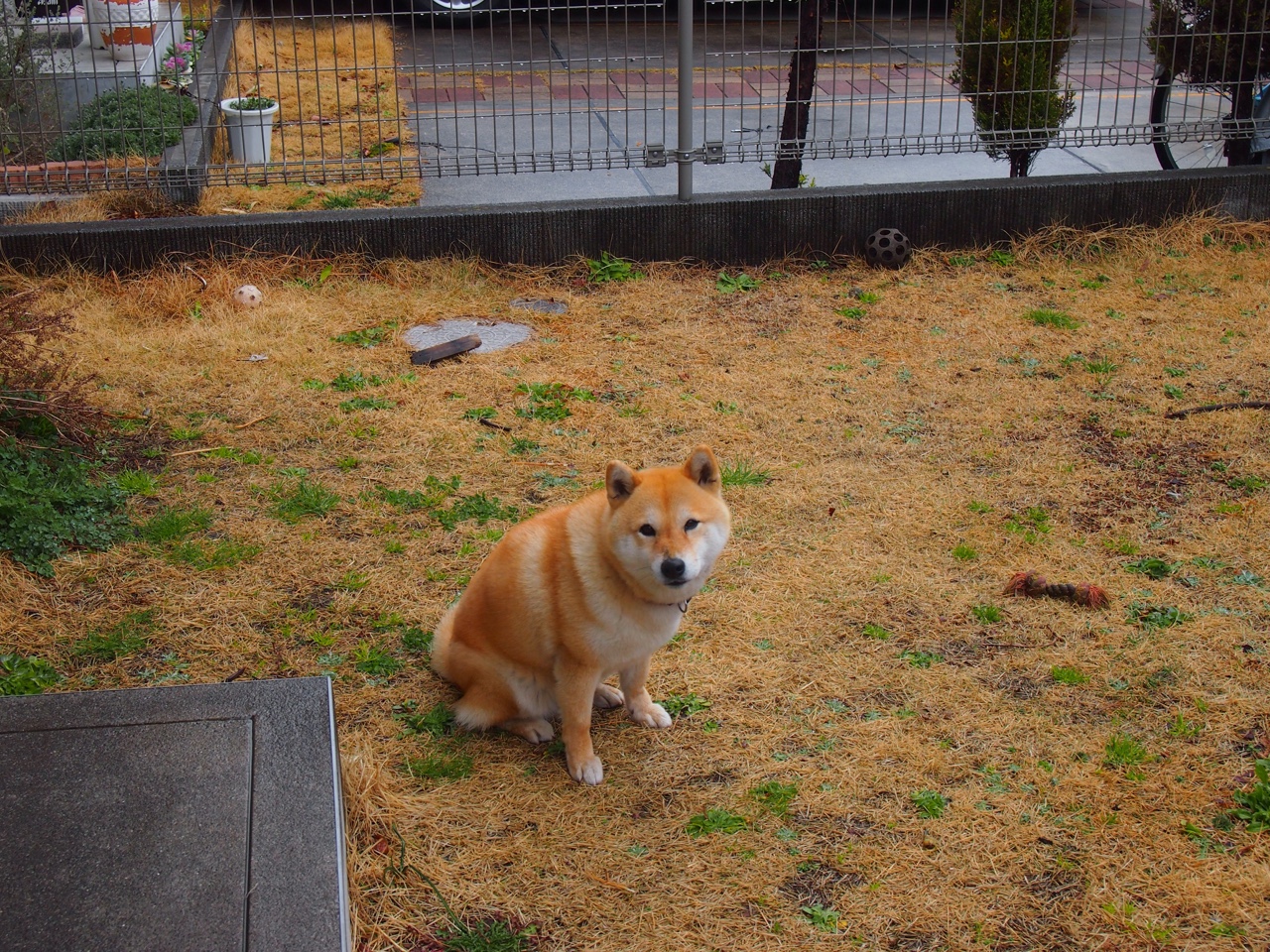 CBA联赛积极推广篮球青训计划,青年篮球培训