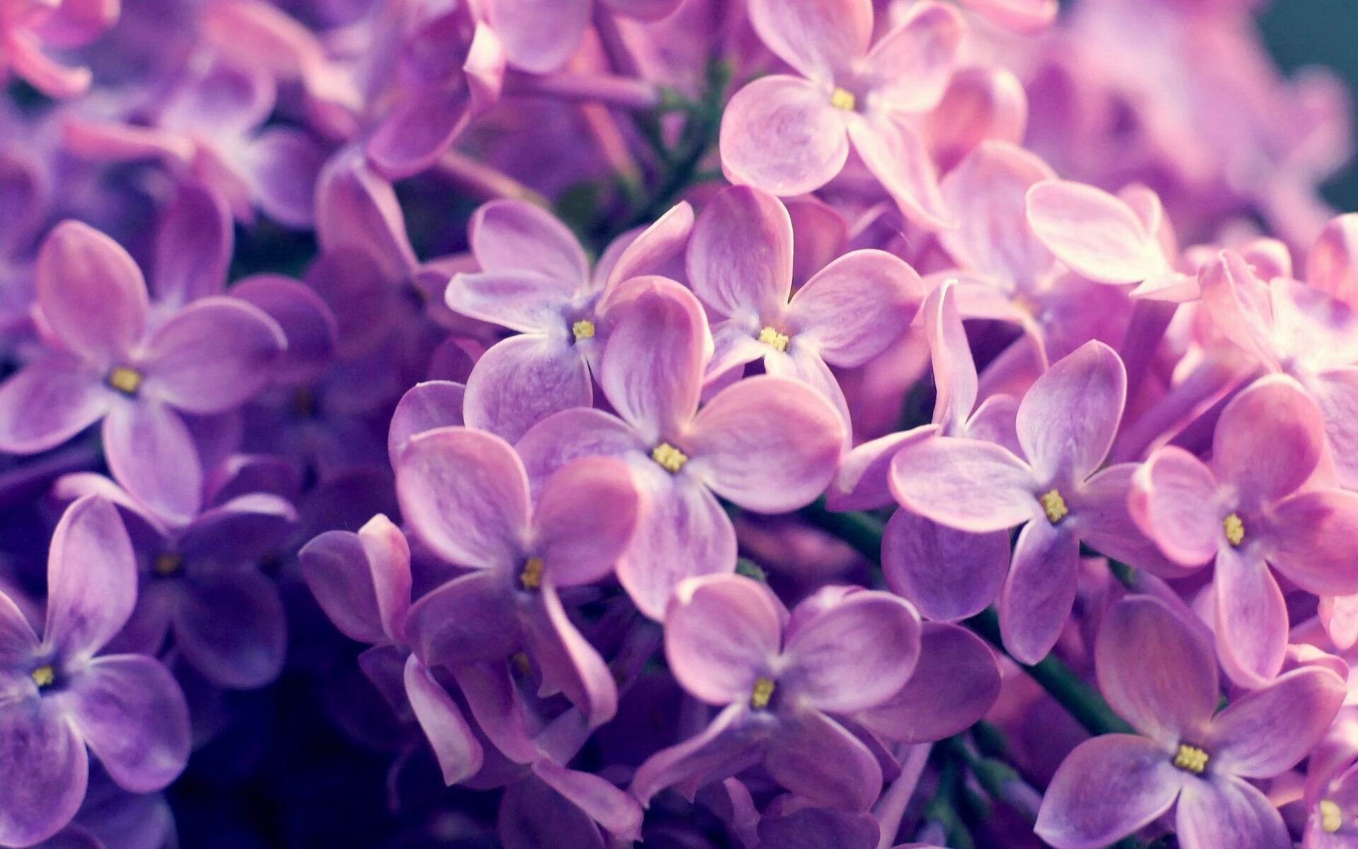 乒乓世界杯赛制改革:2024混合团体赛制简析,乒乓球世界杯团体赛