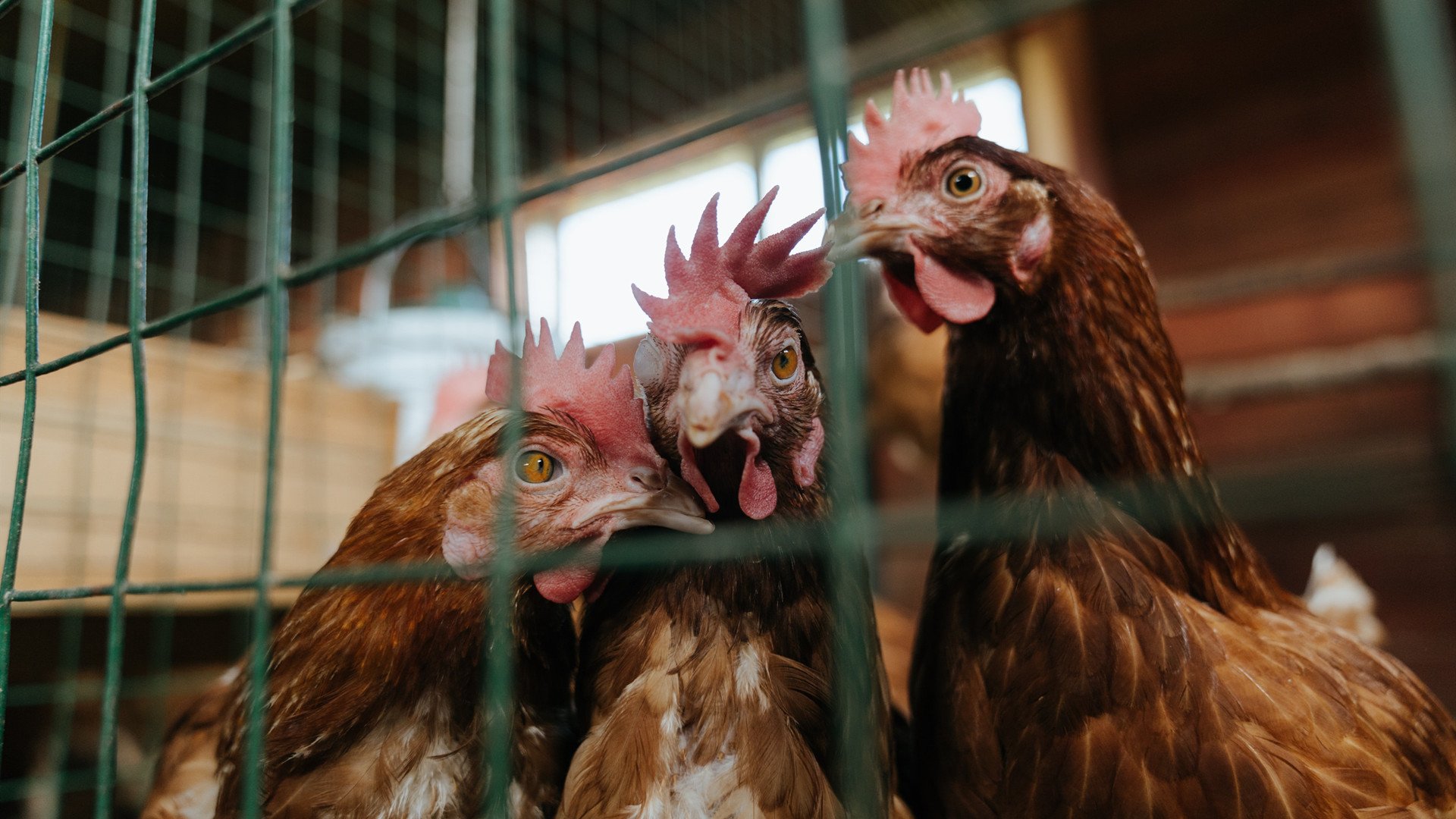 体育新闻中心推动本地赛事国际传播能力建设，大型体育赛事新闻运行的五大核心板块