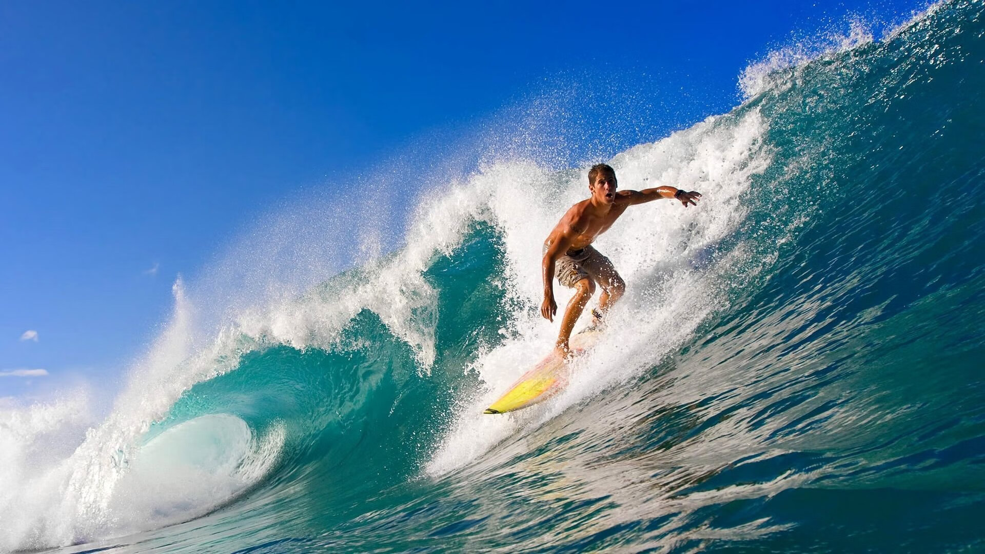 国家体育总局与高校联合共建人才培养基地，高校体育人才培养创新发展