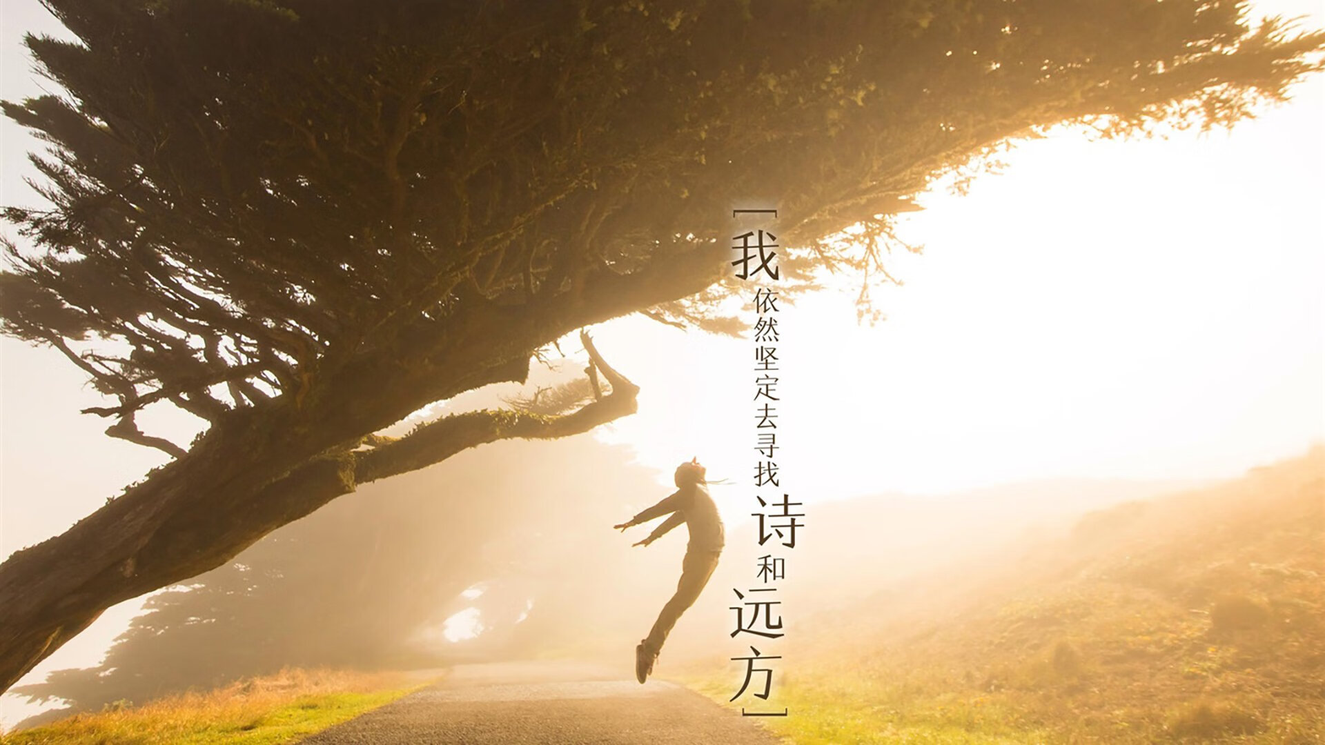 跳水环节吉尔吉斯斯坦表现持续进步，吉尔吉斯斯坦摔跤冠军